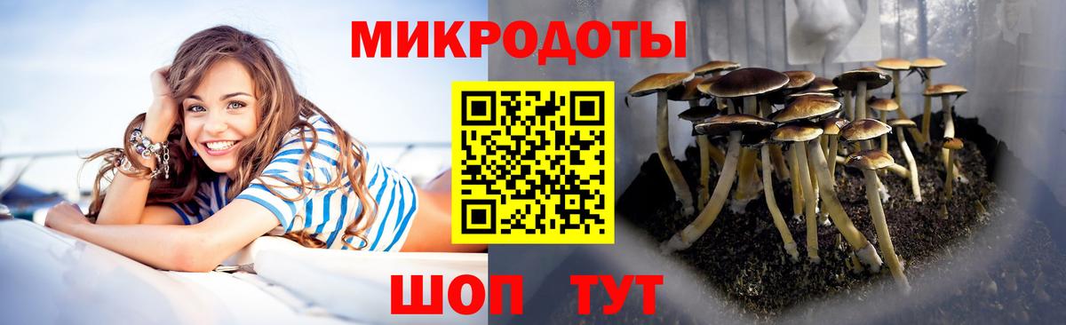 Волоколамск  Галлюциногенные грибы Magic Shrooms  Вход с VPN 